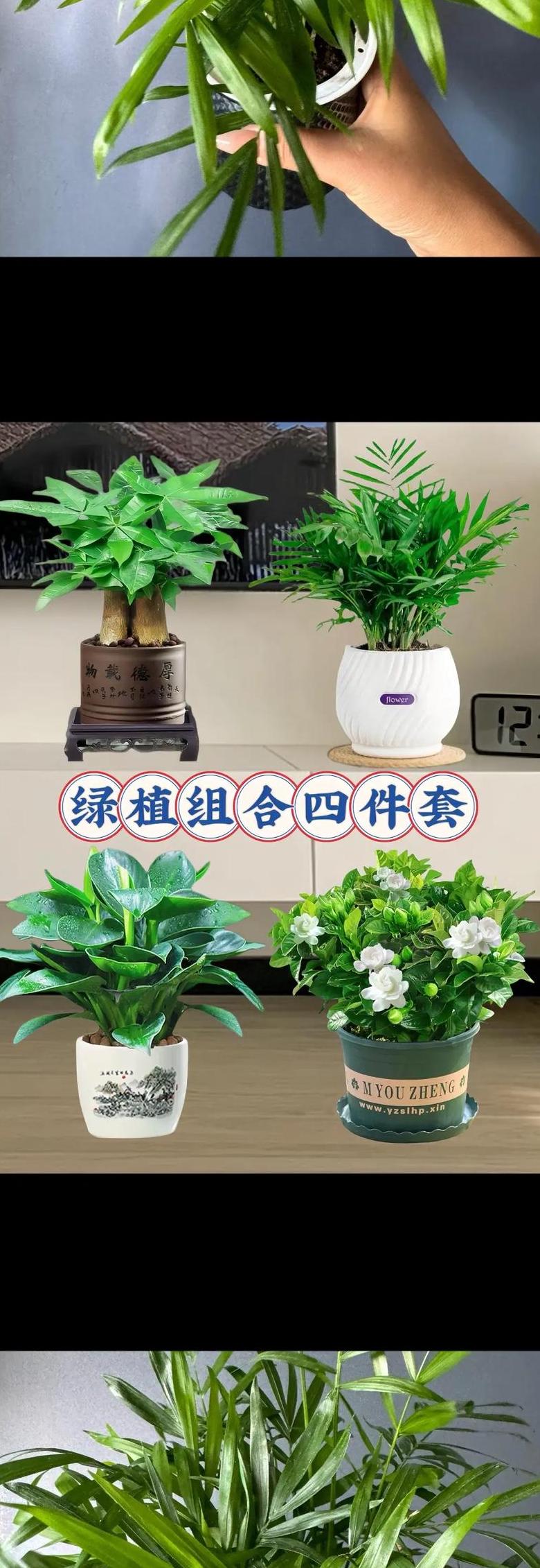 4盆花摆放的行与列：不同摆放方式及所需数量解析
